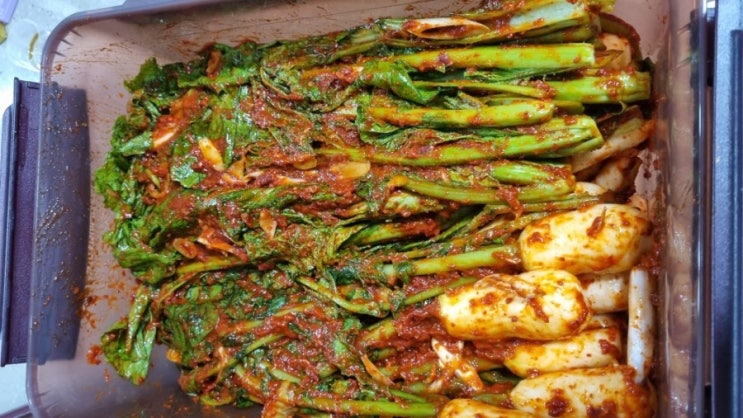 대충담가도 맛있는 청갖김치 와 총각김치