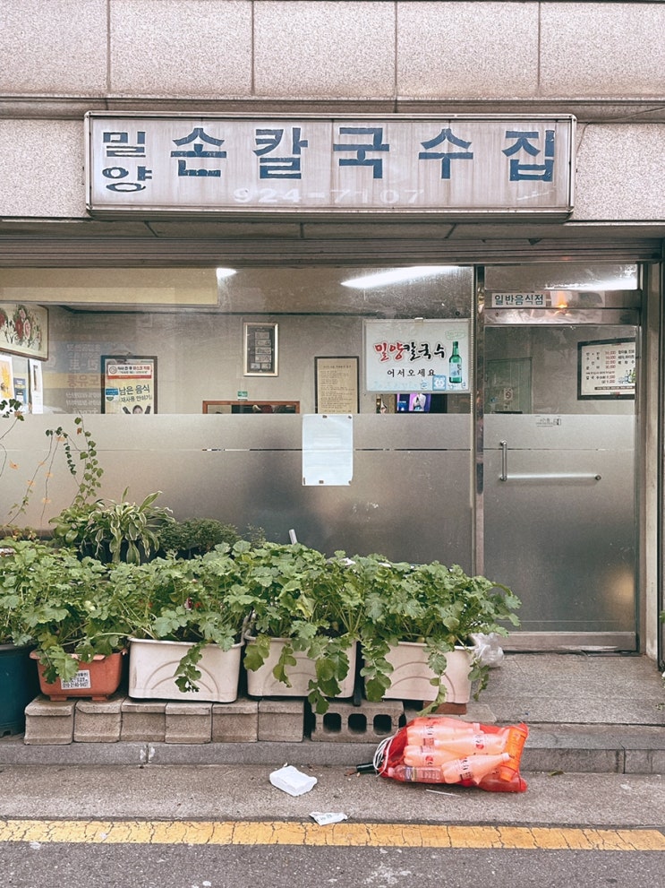  성신여대 칼국수 수육맛집 밀양손칼국수