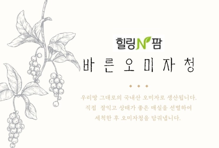  [홈카페]오미자청(오미자청에이드, 오미자청만들기, 꿀오미자청, 꿀오미자, 오미자효능)