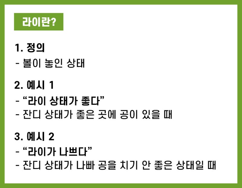 골프 라이 라인 :: 골린이가 헷갈리는 골프 용어 3분 안에 정리 : 네이버 블로그 골프 라이 라인 :: 골린이가 헷갈리는 골프 용어 3분 안에 정리 : 네이버 블로그