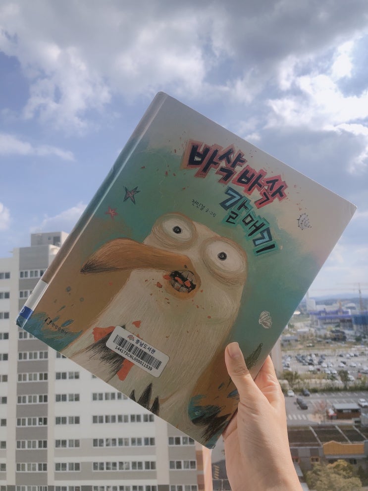  바삭바삭 갈매기, 환경의 중요성과 갈매기의 삶을 그린 내용