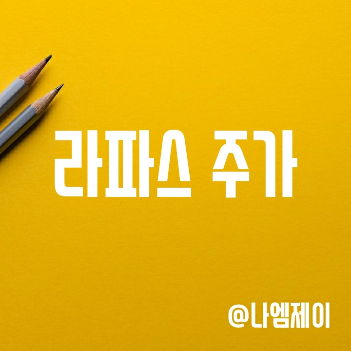 마이크로니들 관련주 라파스 주가 - 경영권 분쟁 가능성? 마이크로니들 관련주 라파스 주가 - 경영권 분쟁 가능성?