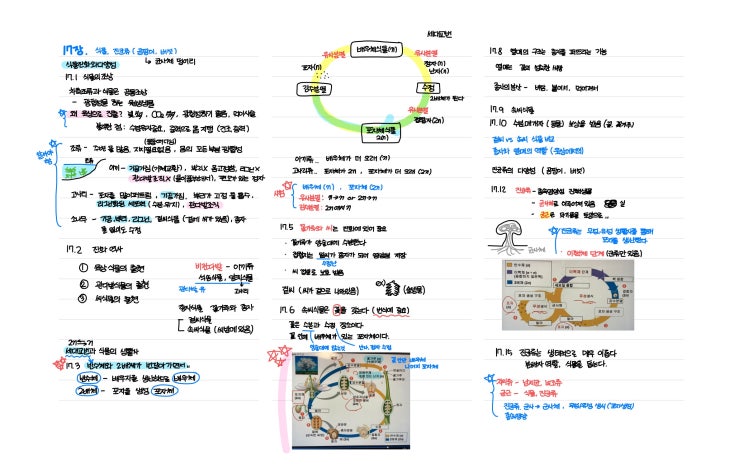  [생물학1] 식물의 진화와 진균류의 다양성