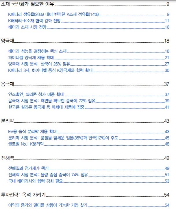 2차전지 소재주 전성시대 2차전지 소재주 전성시대
