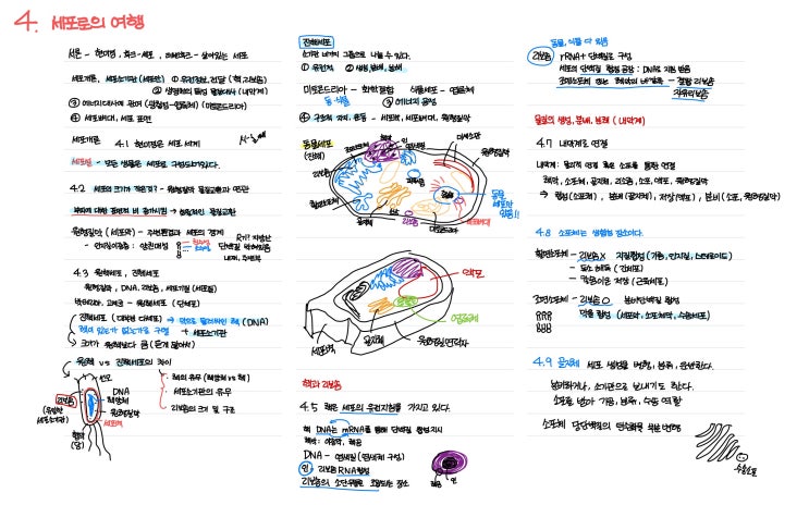  [생물학1] 세포로의 여행