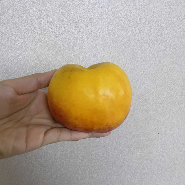  [로즈티비]나혼산 그릭요거트 복숭아 그릭모모 만들기
