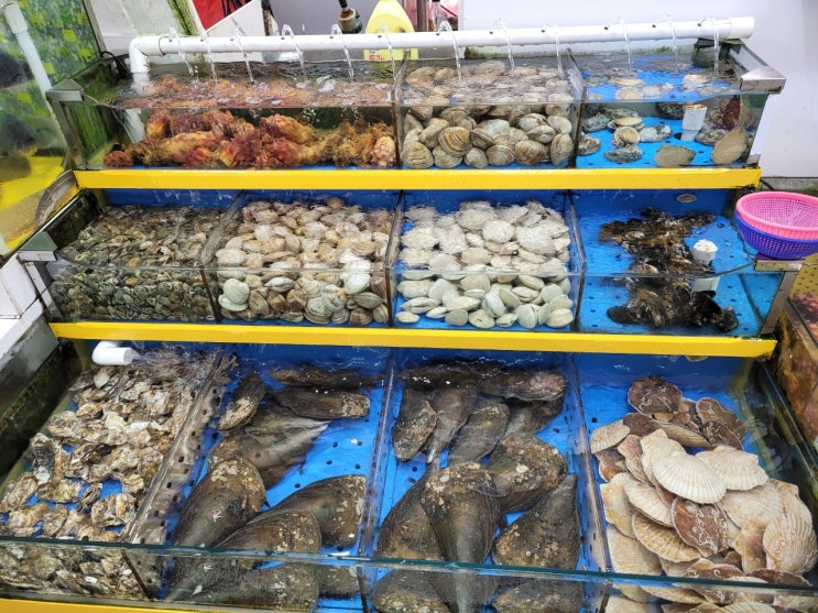  대부도 맛집 대부도 횟집 조개구이 바다수산으로!