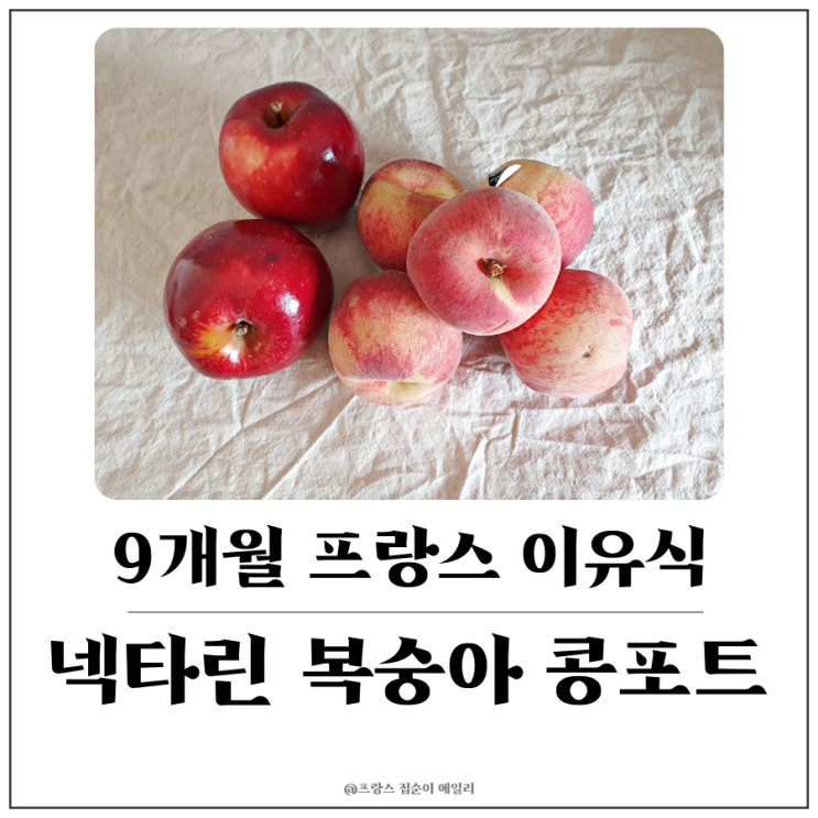  [9개월 아기 프랑스 이유식] 천도 복숭아 넥타린, 사과 콩포트 만들기