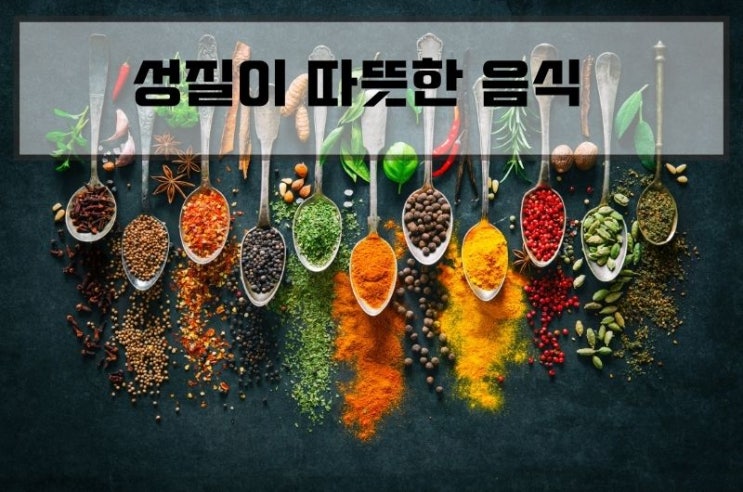  따뜻한 성질 음식 (체온 높은사람이 건강하다고?)