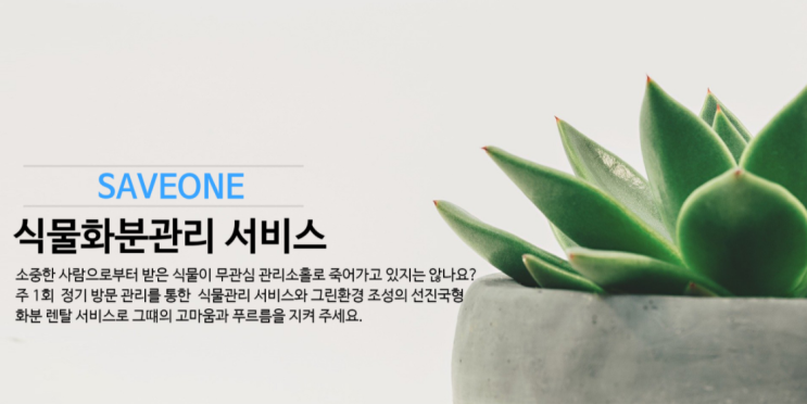  세이브원 식물 화분 관리 서비스