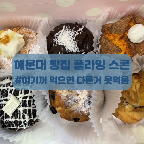  해운대 빵집 플라잉스콘 생활의달인이 있는 그곳!