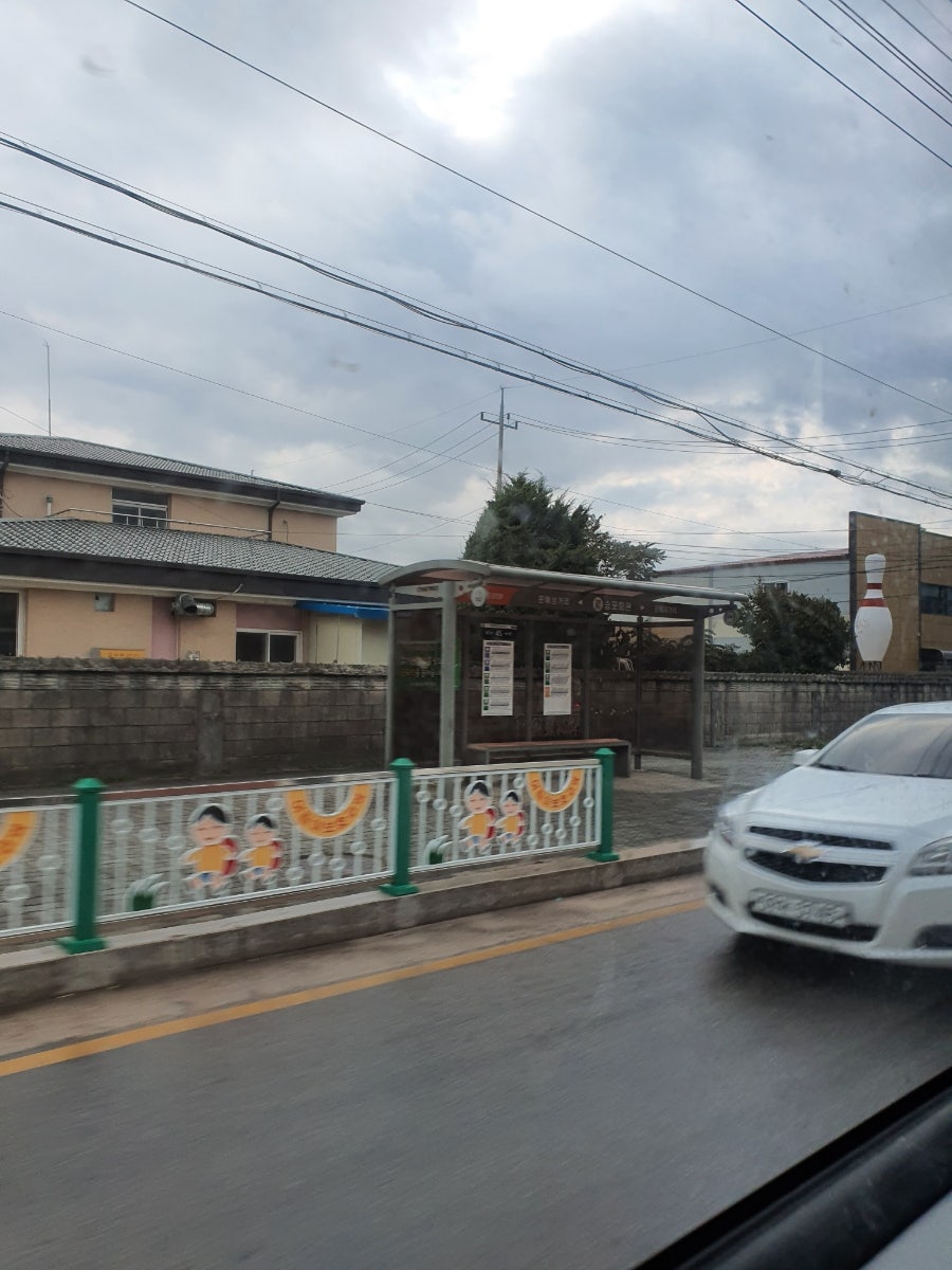 화려한외출 사진 1
