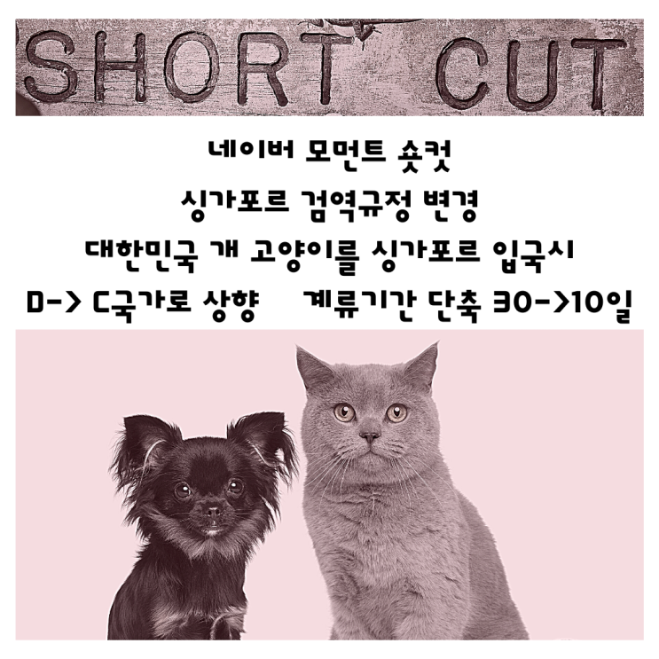 싱가폴  동물 고양이 강아지 입국 검역 계류 격리 기간 변동 [모먼트]