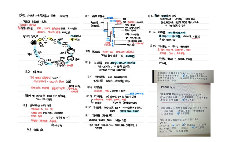  [생물학1] 다양한 무척추동물의 진화