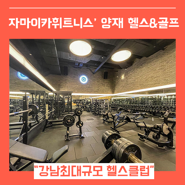  강남역 헬스 자마이카휘트니스 강남뱅뱅점 골프 (feat. 강남 최대 규모 헬스 골프 사우나 )