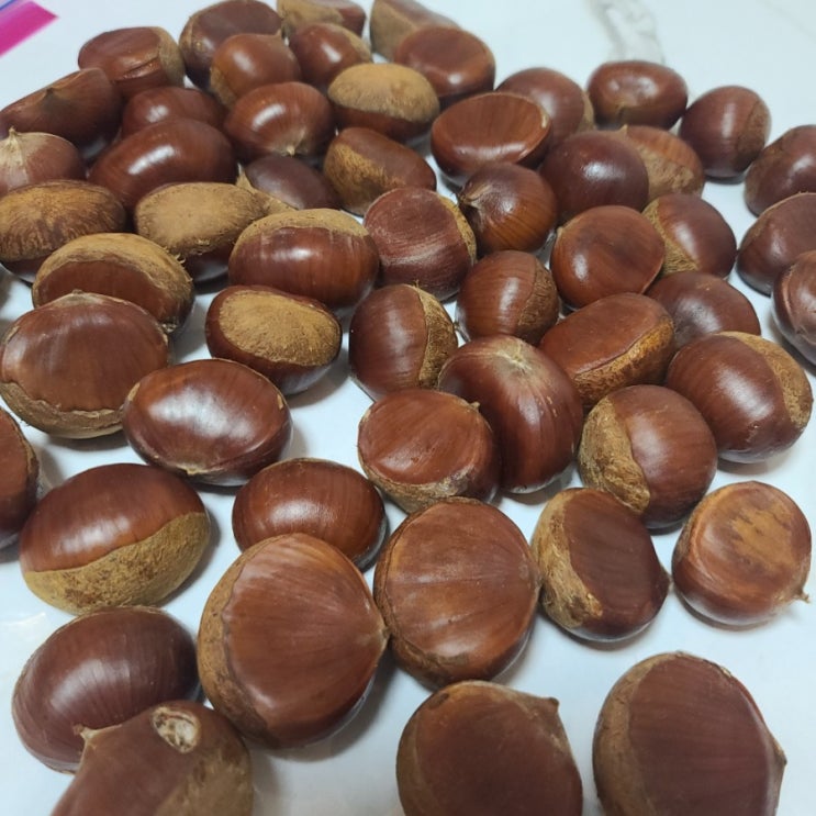  생밤 보관법, 자취생이 보관하는 방법
