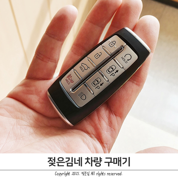 젖은김네 GV70 구매 기록 젖은김네 GV70 구매 기록