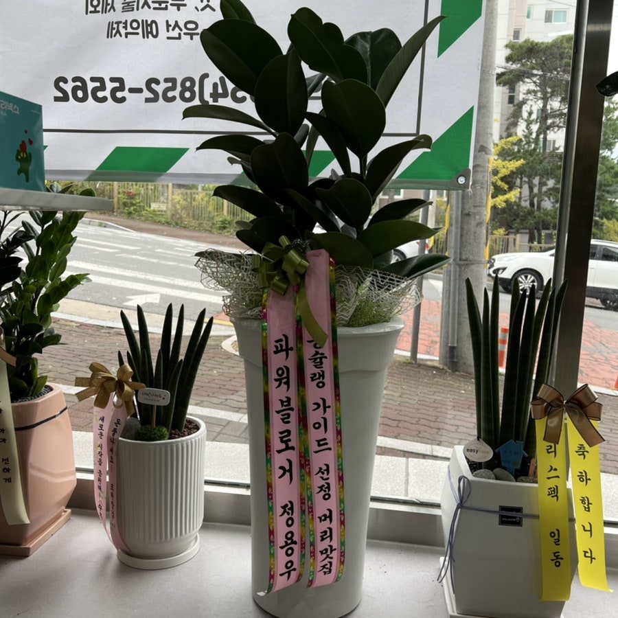 르몽드헤어 사진 3