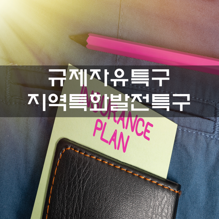  규제자유특구 및 지역특화발전특구에 관한 규제특례법