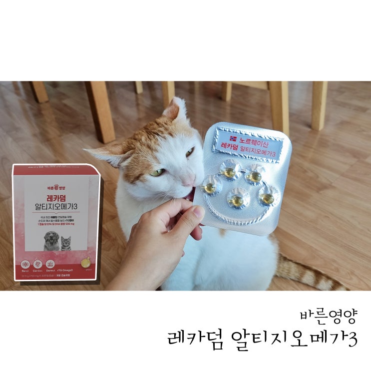  고양이오메가3는 레카덤 알티지오메가3
