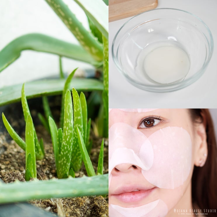 환절기 피부 진정 마스크팩 알로에팩 만들기 환절기 피부 진정 마스크팩 알로에팩 만들기
