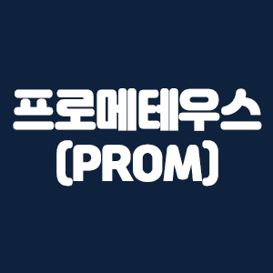  프로메테우스(PROM)
