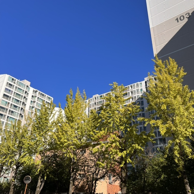  이번주도 화이팅