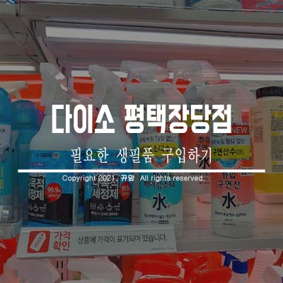  필요한 생필품 다이소에서 구입해요