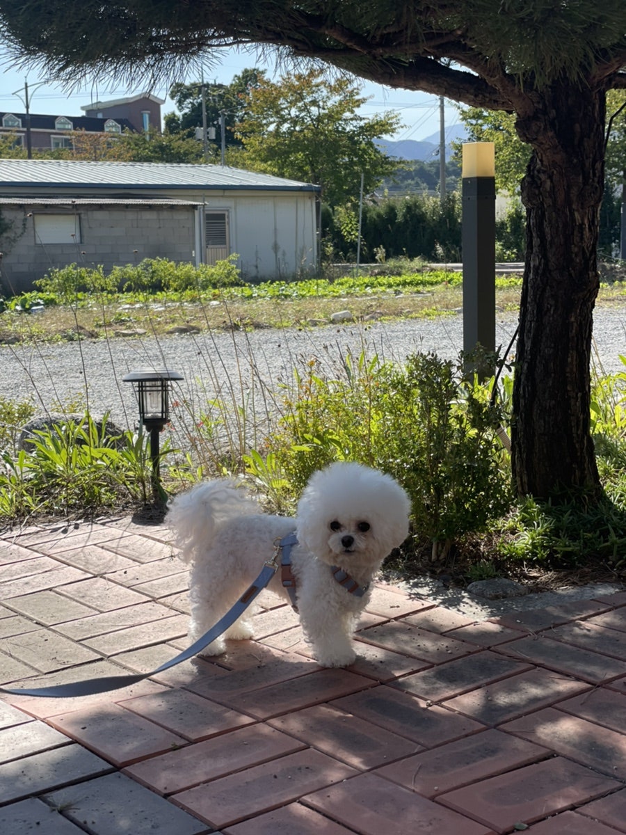 네일은미래 사진 4