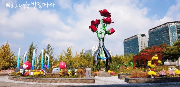  일산) 국화 가득한 가을 호수공원 ㅡ 코로나19 예방접종센터 (백신 완료!)
