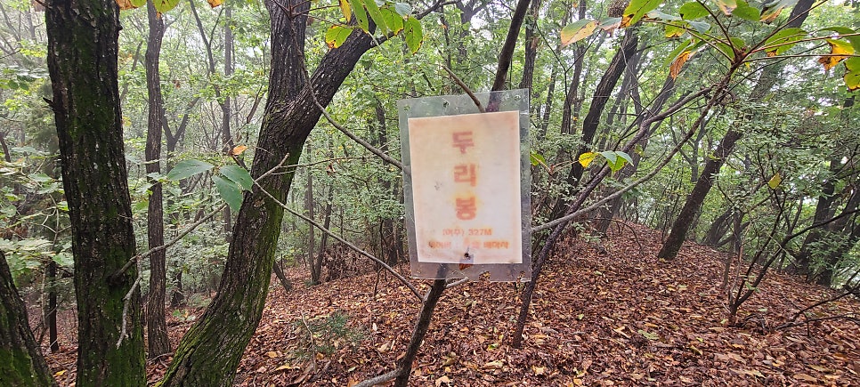황새뒤뿌렁이산 사진 5