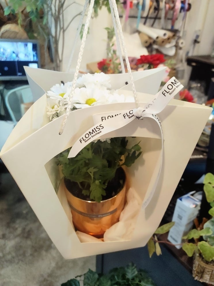 [대전꽃집] 플로미스에서 꽃선물
