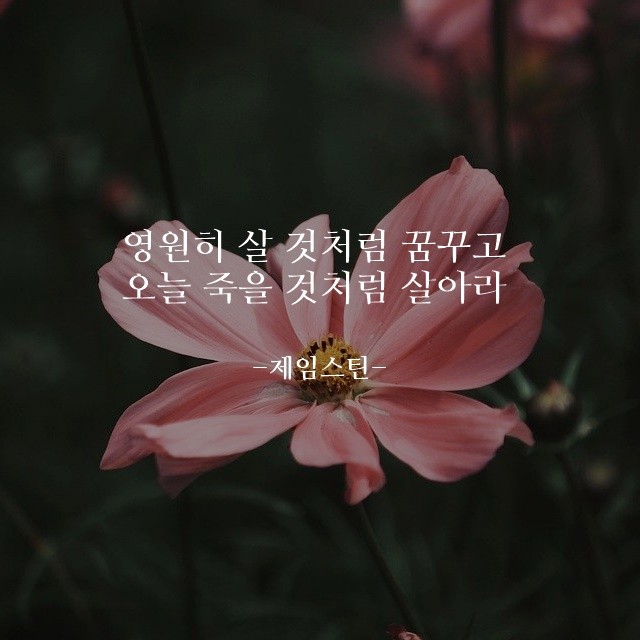 부거사이 [부동산 뉴스와 블로그] 10월 19일(화)