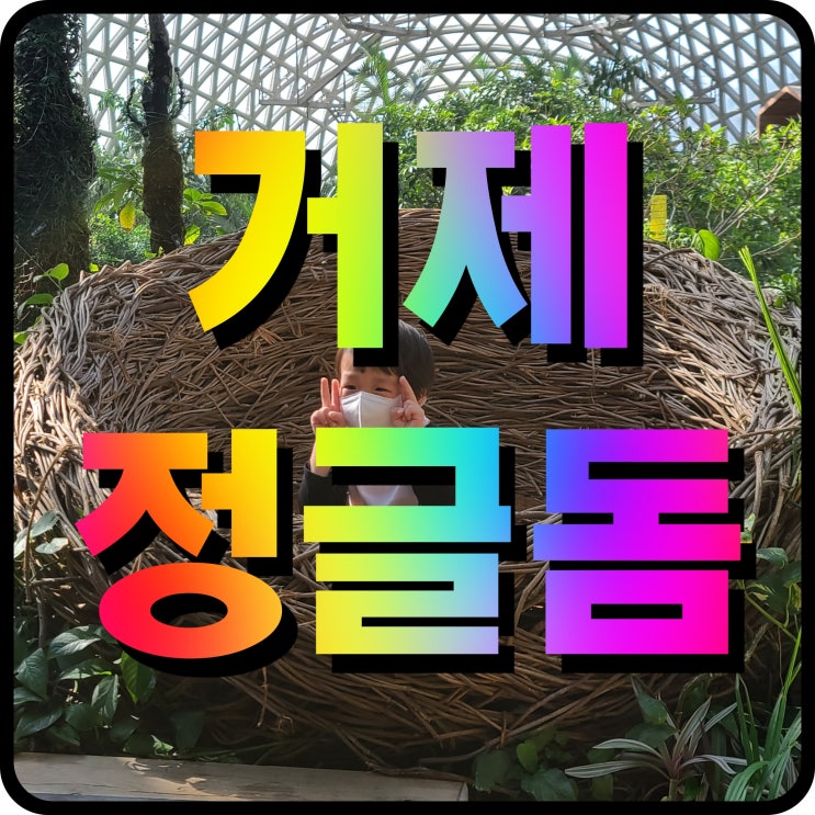  거제 정글돔 식물원 아이와 가볼만한곳 수목원 체험학습 온실에서