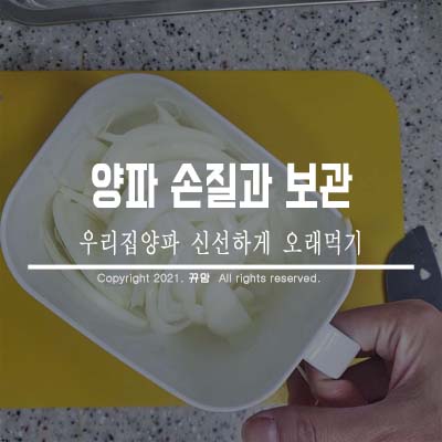  우리집 양파 손질과 보관법