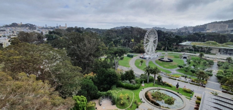  골든게이트공원(Golden Gate Park)