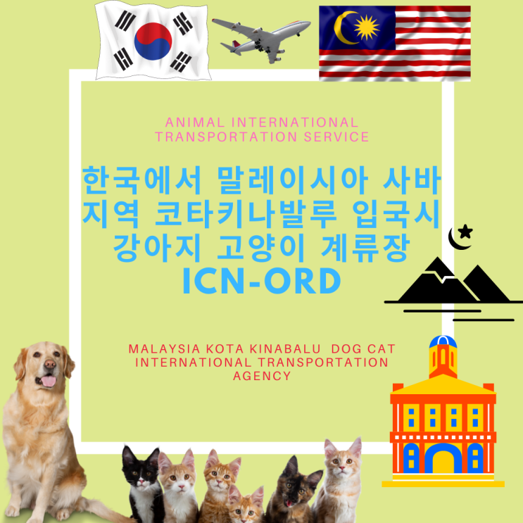  말레이시아 코타키나발루 BKI  고양이 강아지검역 해외운송 출국 수입허가 계류장