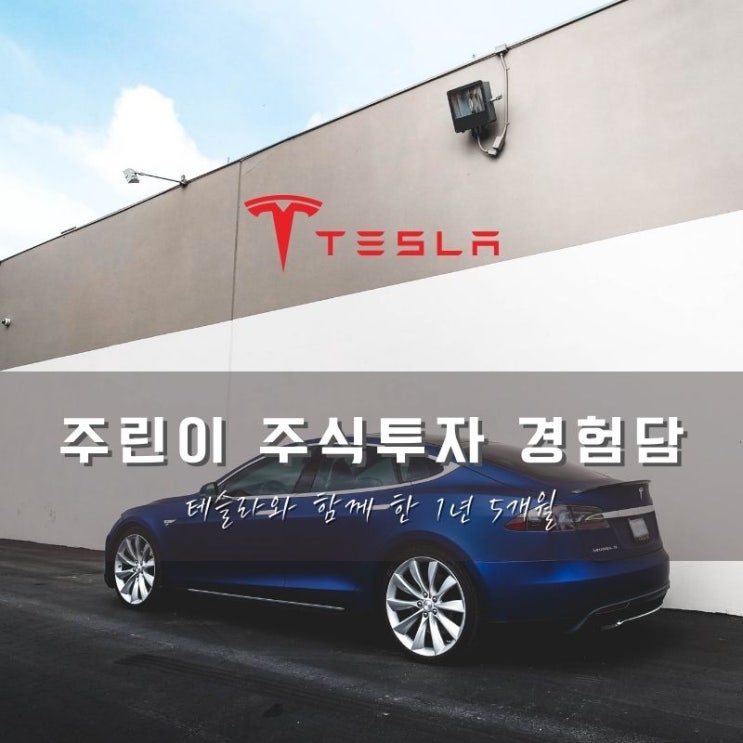  테슬라와 함께 한 1년 5개월_주린이 주식투자 경험담