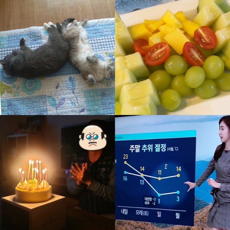  64년만에 10월 추위절정 중간고사 나 너무 무서워..c/막학기대학생/시험기간/아빠생신/선미씨의행복한밥상/이브레오아담근황