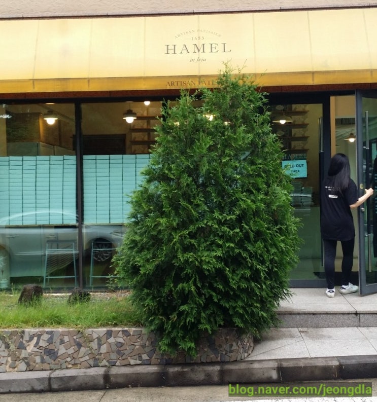  제주여행 공항근처 사르르 녹는 치즈케이크맛집 [HAMEL 치즈몽]