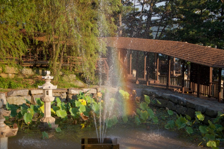  보령 고즈넉한 산책길, 죽도 상화원 (우연히 무지개, 섬냥이)