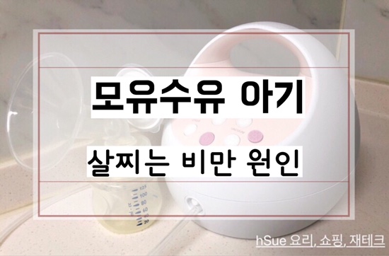  [모유수유 비만] 완모 아기 비만 원인 - 임신성 당뇨, 제왕절개 유산균 부족