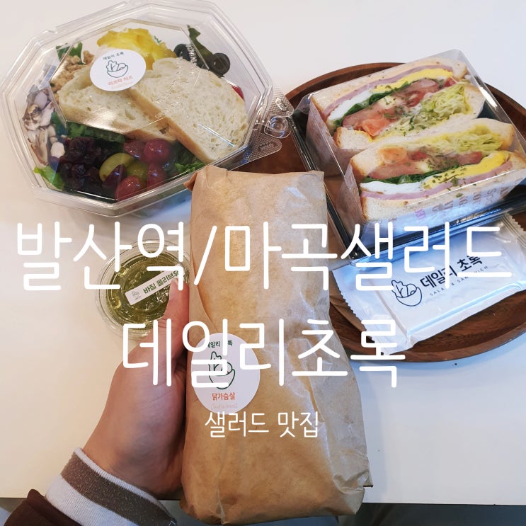  마곡/ 발산역샐러드 [데일리초록] 맛있는 다이어트식사 샐러드 & 랩샐러드