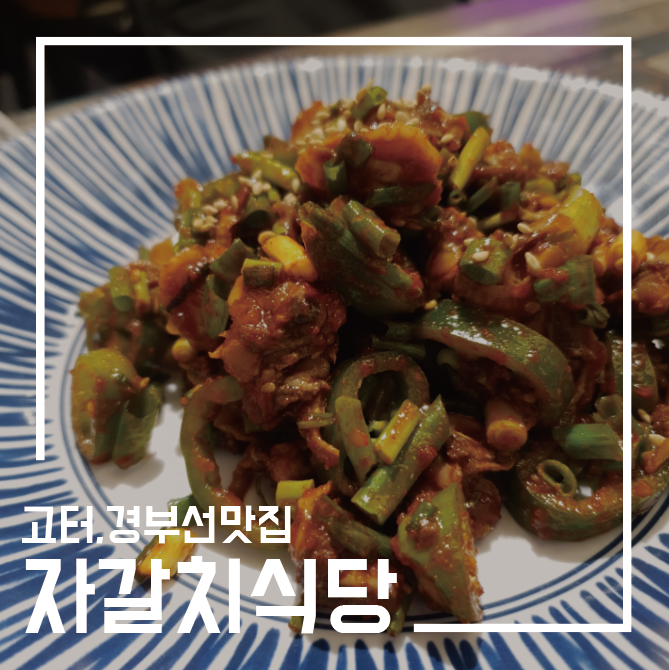 [고속터미널맛집] 밥도둑 꼬막비빔밥이 맛있었던 자갈치식당