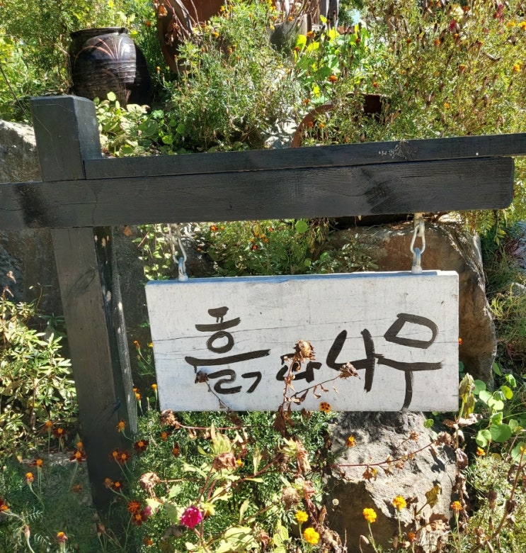 <남양주 별내 맛집> 애견동반 식당 흙과 나무 관람 체험 바베큐 식당 <남양주 별내 맛집> 애견동반 식당 흙과 나무 관람 체험 바베큐 식당