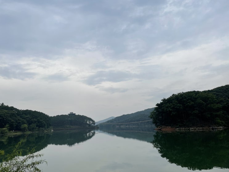 파주 가볼만한곳 마장호수 출렁다리와 카페 베르테라