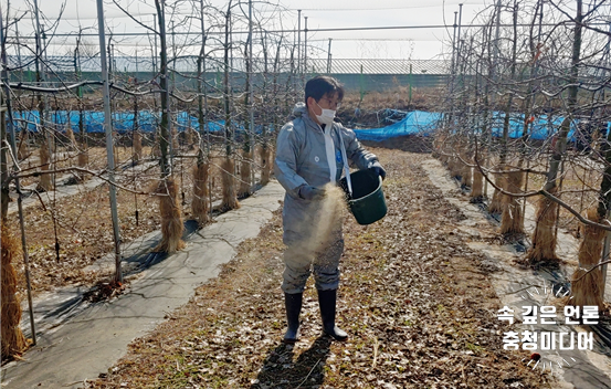 [충청미디어] 충주시 ‘친환경 환경개선제’ 과수원 대량공급 추진