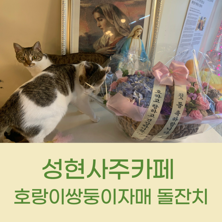  성현사주카페 호랑이 쌍둥이자매 돌잔치