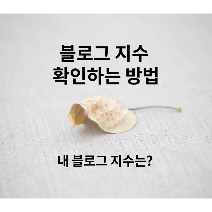  블로그 지수 확인하는 방법 지수 높이는 방법