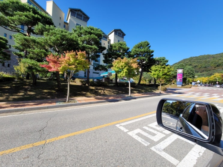  우리 오늘 화담숲 갈까!